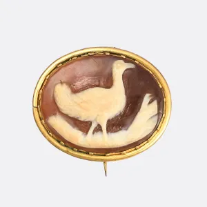 Georgian Emu Cameo Brooch
