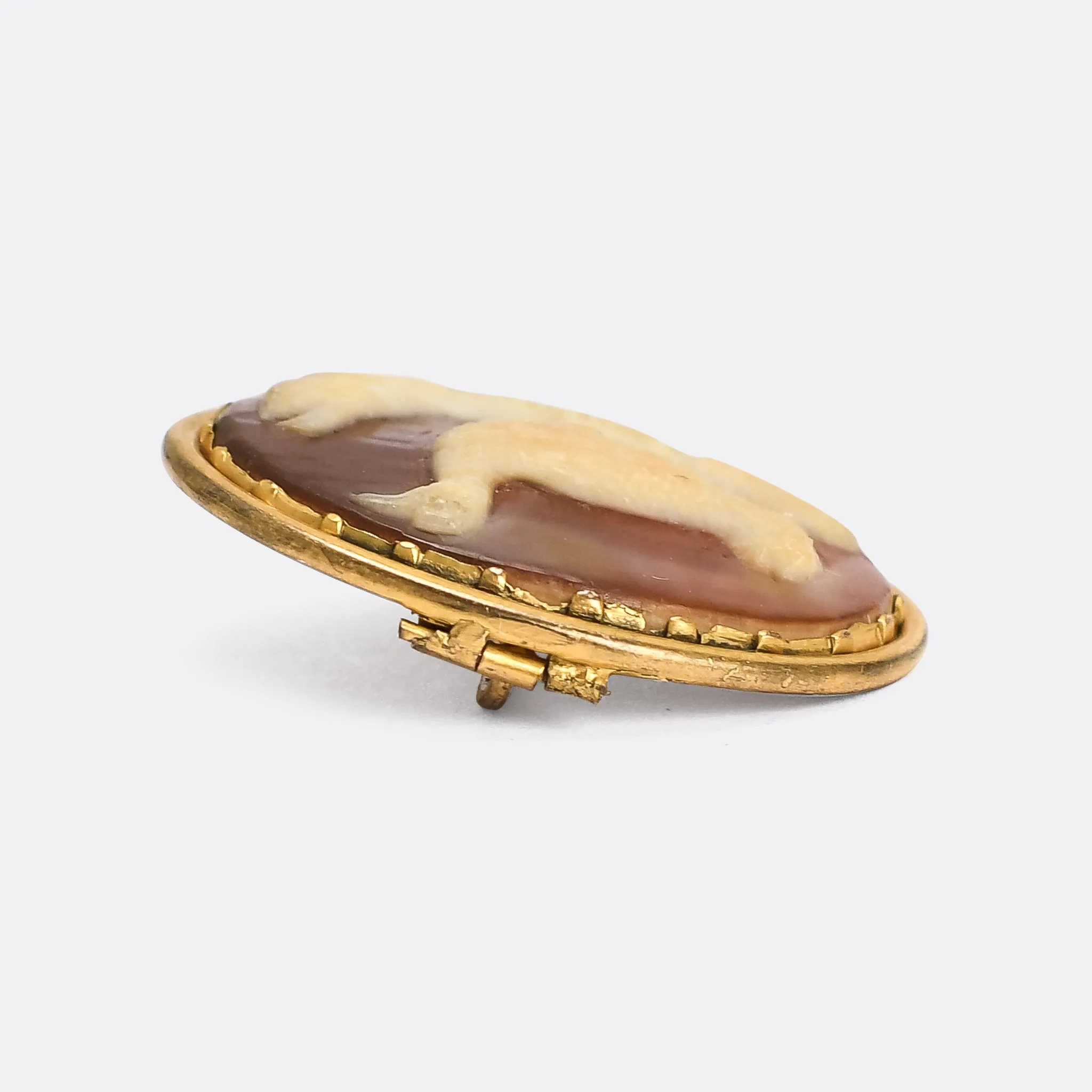 Georgian Emu Cameo Brooch